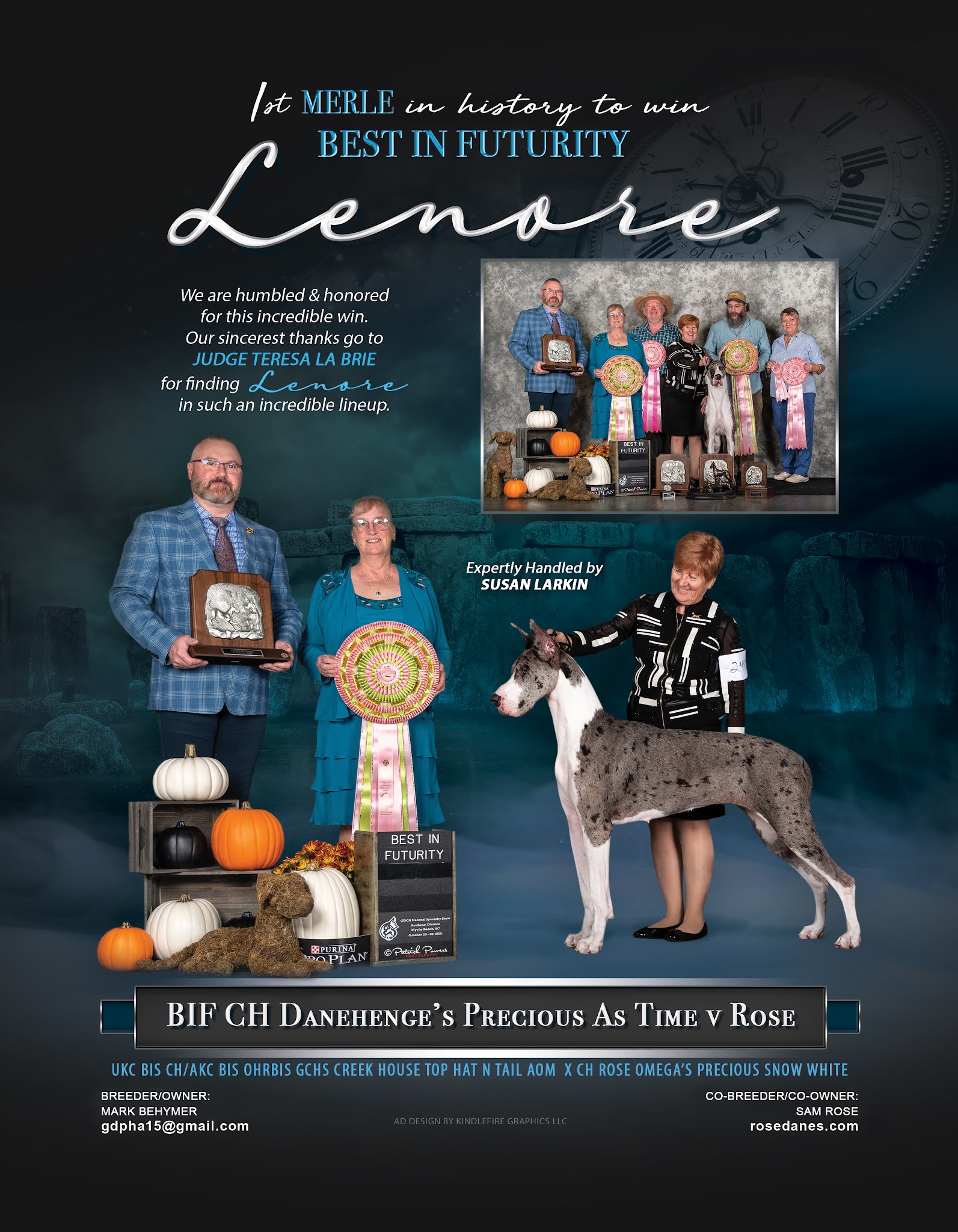 Great Dane puppies Harlequins mantles merles Adventures 2021